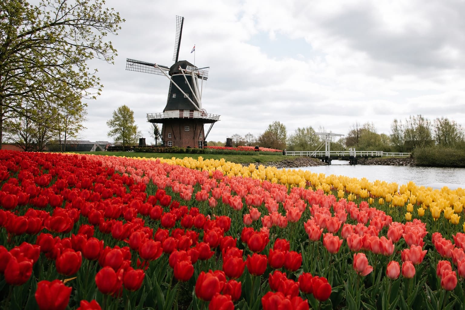 Holland in full color
